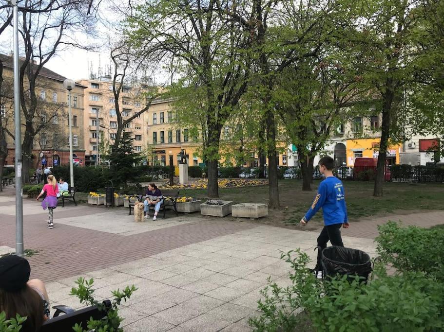Separate Flat,3 Rooms!central Location-best Price! * Budapest